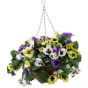 REGAL PANSY POURRI HANGING BASKET