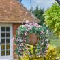 STAR GAZING LILLIES HANGING BASKET