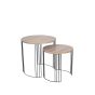 ATRI  NEST OF 2 TABLES - DARK WOOD & BLACK METAL