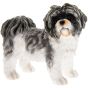 SHIHTZU BLACK & WHITE