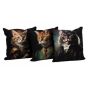 45x45 CAT SC CUSHION