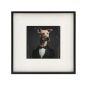 40x40 DOG ANIMAL HEAD  PICTURE