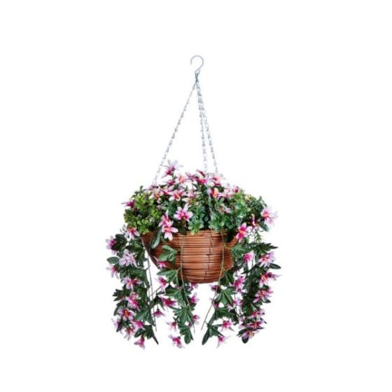 STAR GAZING LILLIES HANGING BASKET