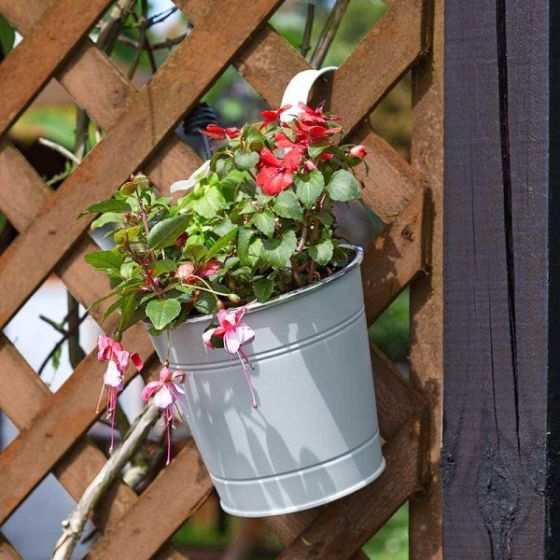 6" IVORY FENCE & BALCONY HANGING POT