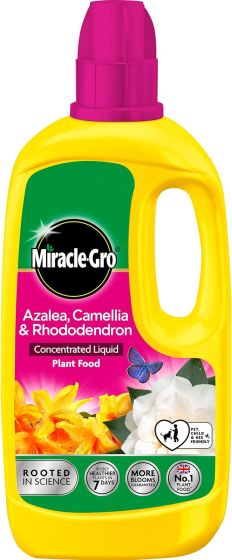 800ml MIRACLE GRO AZAL. CAM. RHOD.