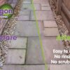 2.5lt ALGON PATH PATIO & DECK CLEANER - Image 3