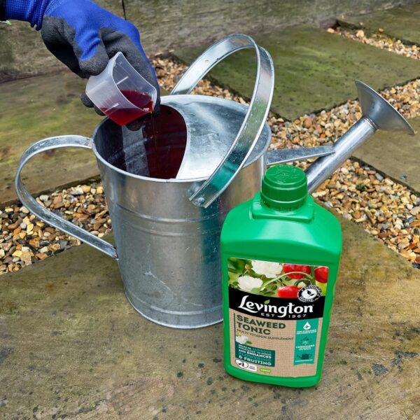 800ml LEVINGTON SEAWEED TONIC - Image 3