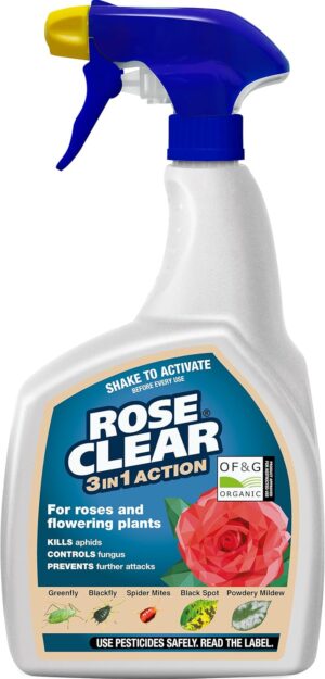 800ml ROSE CLEAR