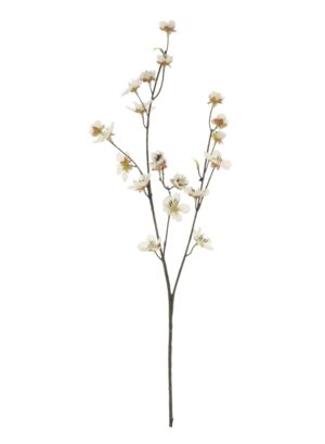 JAPANESE CHERRY BLOSSOM CREAM STEM