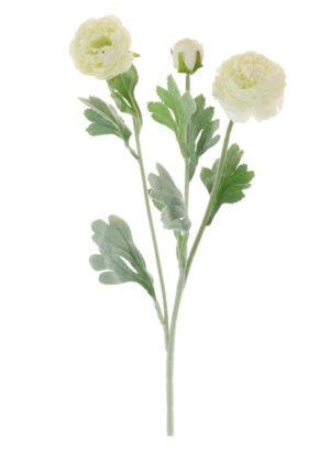 SILK RANUNCULA CREAM SPRAY STEM