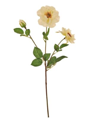 SILK WATERLILY DAHLIA SPRAY IVORY STEM