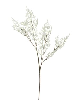 LIMONIUM IVORY SPRAY STEM