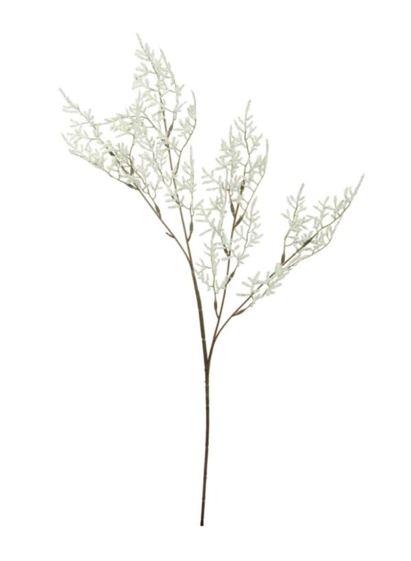 LIMONIUM IVORY SPRAY STEM