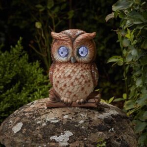 BLINKIN OWL