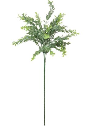 NAT GREEN	 LONG STEM PARVIFOLIA STEM