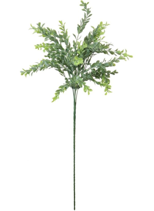 NAT GREEN	 LONG STEM PARVIFOLIA STEM