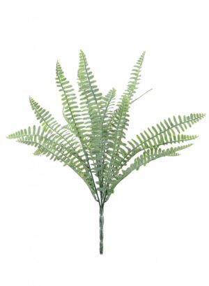 NAT GREEN DUSTED ROYAL FERN BUNCH