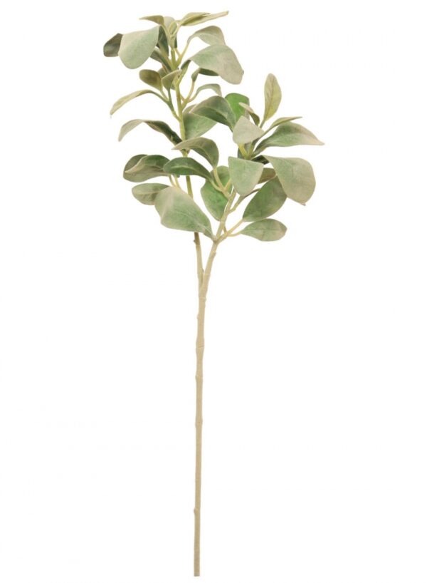 NAT GREEN	 LAMBS EAR SPRAY STEM