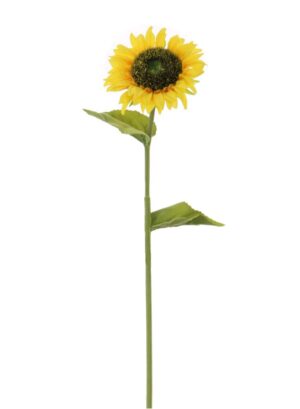 OPEN SUNFLOWER YELLOW STEM