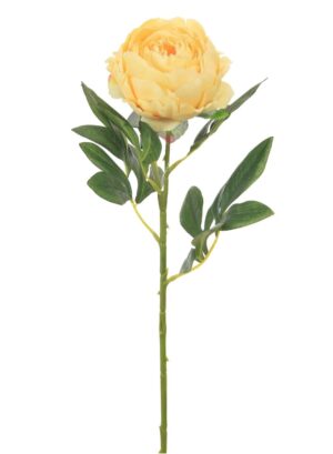 MILLICENT PEONY LEMON STEM