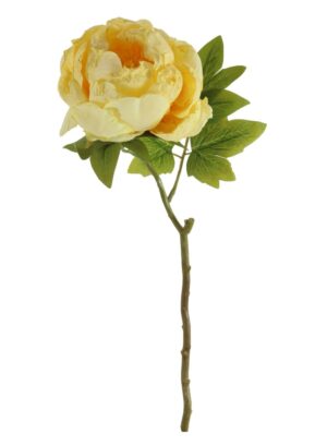 CLOSED PEONY YELLOW DRIED TOUCH STEM