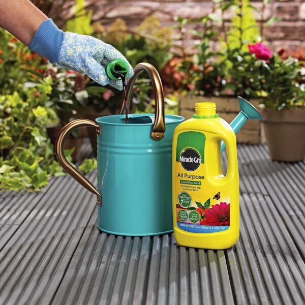 800ml MIRACLE GRO ALL PURPOSE PLANT FOOD - Image 2