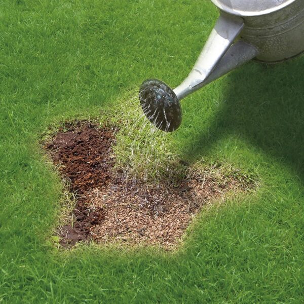 1015GM MIRACLE-GRO PATCH MAGIC GRASS SEED - Image 3