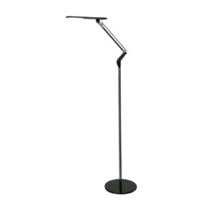 BLACK 5W LED BROOME F/LAMP