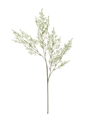 LIMONIUM SPRAY GREEN STEM