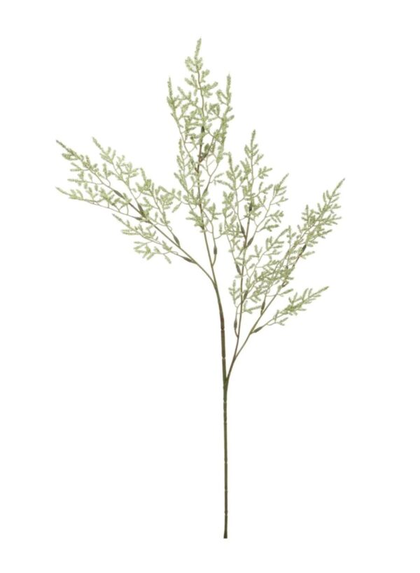 LIMONIUM SPRAY GREEN STEM