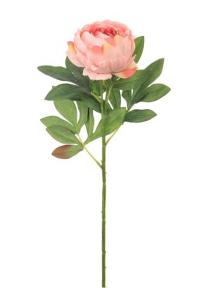 MILLICENT PEONY PINK STEM