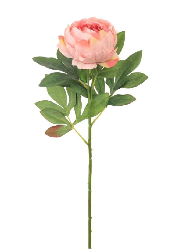 MILLICENT PEONY PINK STEM