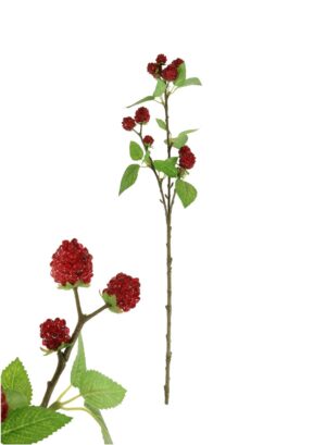 64cm FRUIT RASPBERRY STEM