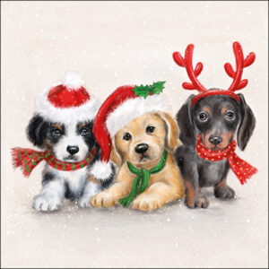 20pk SWEET DOGS NAPKINS