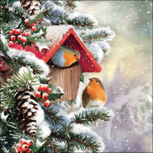 20pk HOUSE OF ROBINS NAPKINS