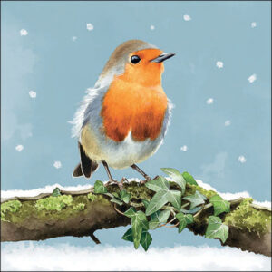 20pk ROBIN ON BRANCH NAPKINS