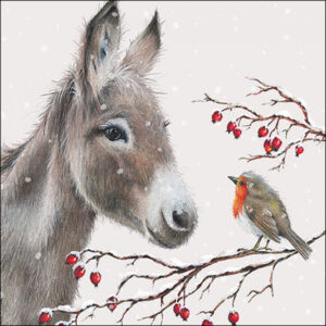 20pk DONKEY & ROBIN NAPKINS
