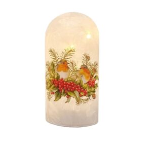 17.5cm ROBIN LED DOME