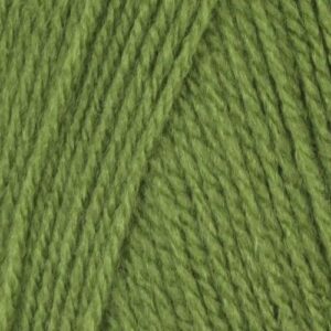 100g 0016 APPLE ROBIN DK YARN