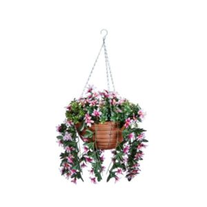 STAR GAZING LILLIES HANGING BASKET
