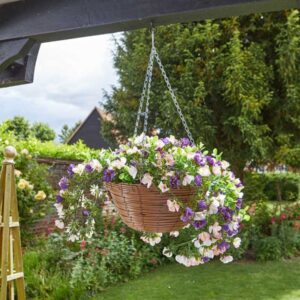 PETUNIAS HANGING BASKET