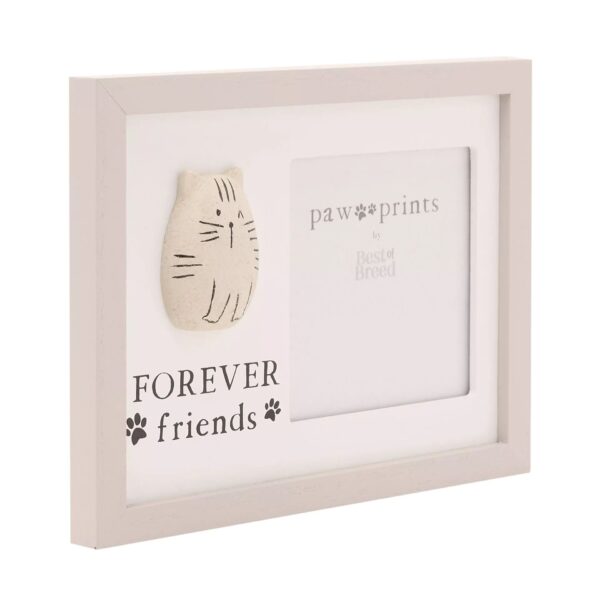 PEBBLE CAT P/FRAME - Image 2