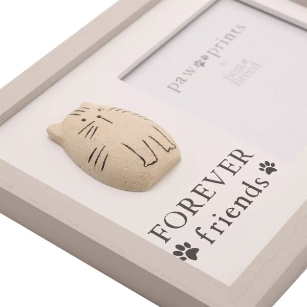 PEBBLE CAT P/FRAME - Image 4