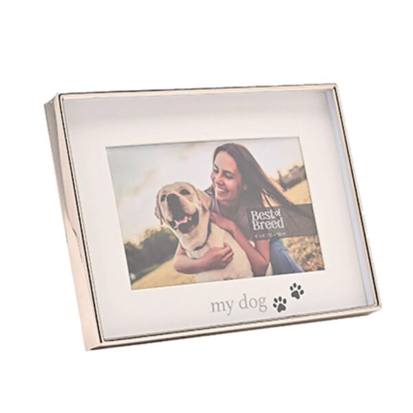 6x4 BEST OF BREED MY DOG PHOTO P/FRAME - Image 2