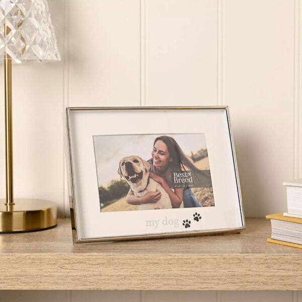 6x4 BEST OF BREED MY DOG PHOTO P/FRAME - Image 4