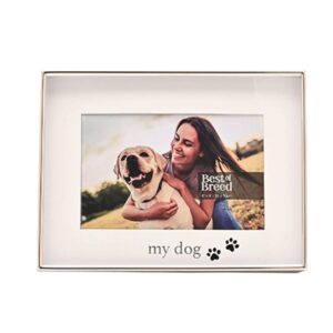 6x4 BEST OF BREED MY DOG PHOTO P/FRAME