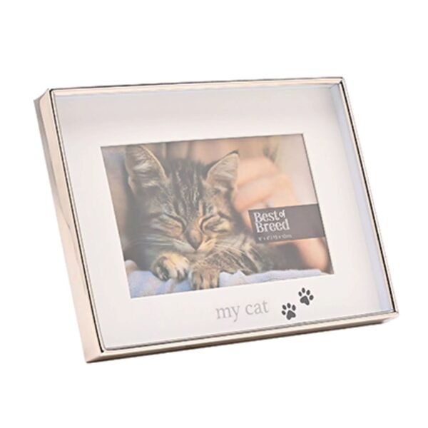 6x4 BEST OF BREED MY CAT PHOTO P/FRAME - Image 2