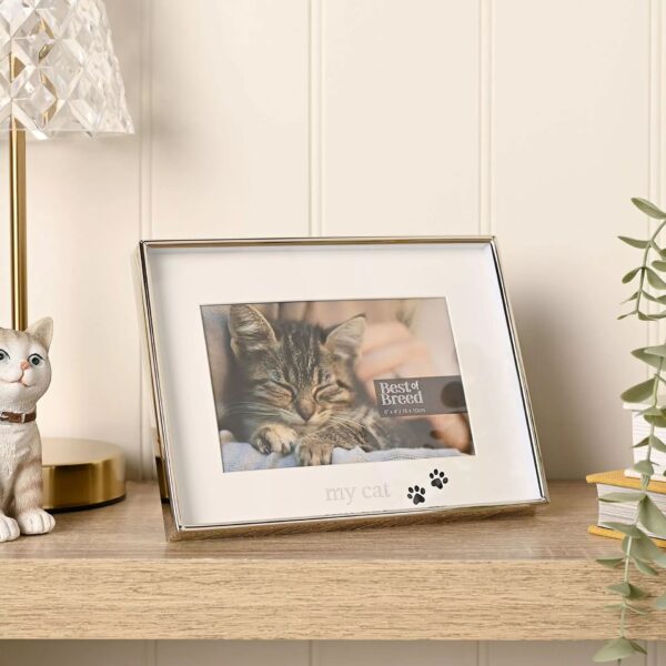 6x4 BEST OF BREED MY CAT PHOTO P/FRAME - Image 4
