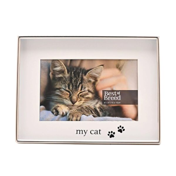 6x4 BEST OF BREED MY CAT PHOTO P/FRAME