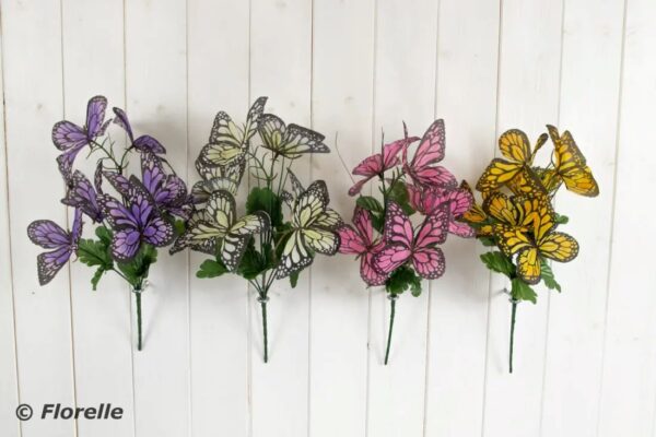 BUTTERFLY BUNCH